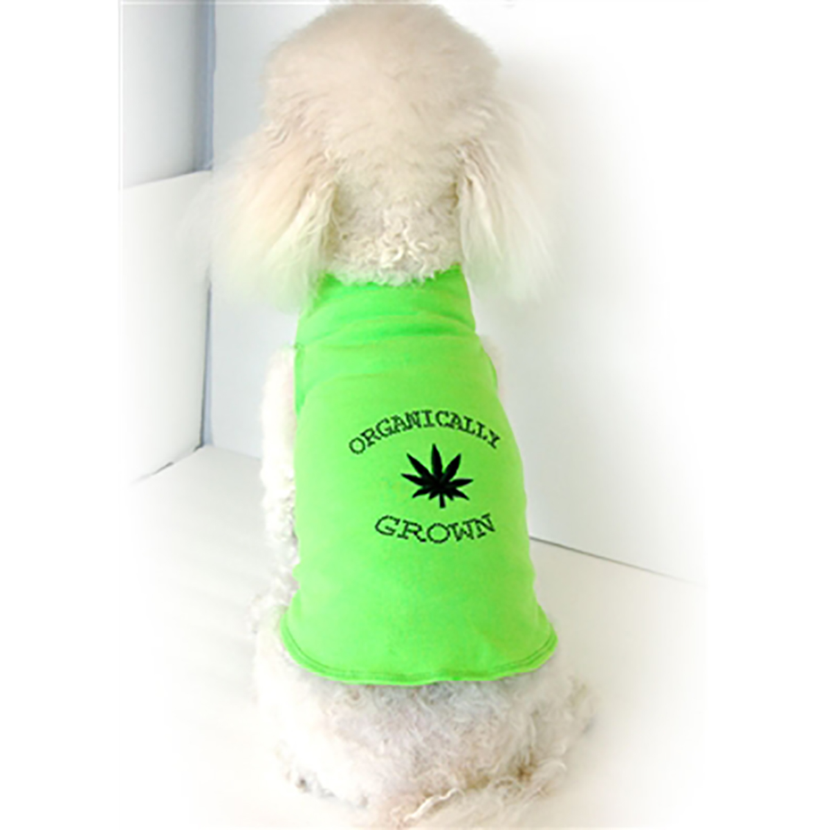 Daisy and Lucy Organically Grown Dog Tank - Lime Green