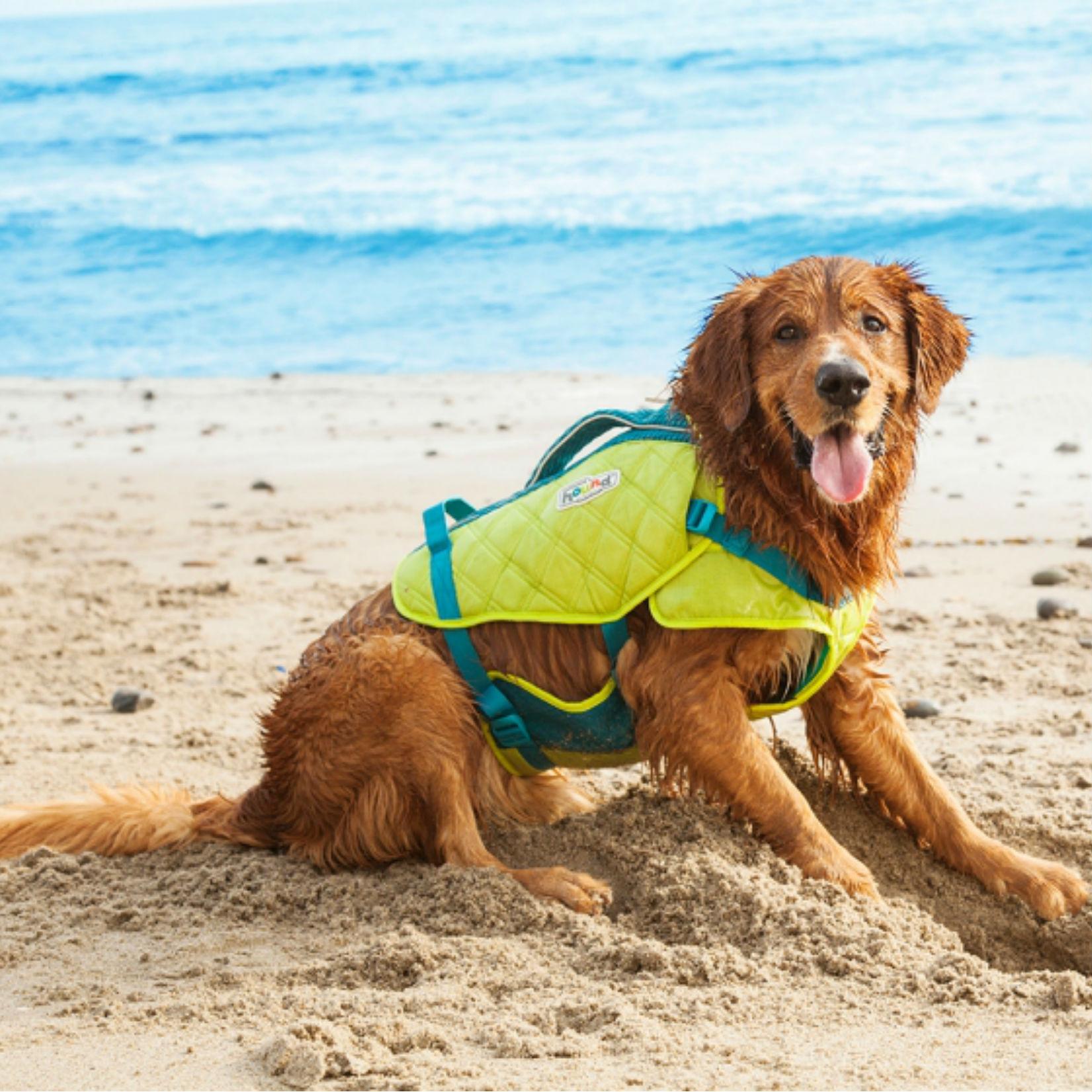 Outward Hound Standley Sport Dog Life Jacket ... | BaxterBoo