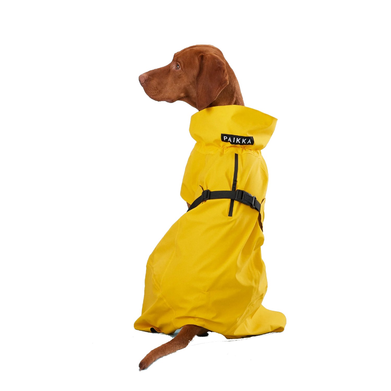 PAIKKA Visibility Dog Raincoat Lite - Yellow