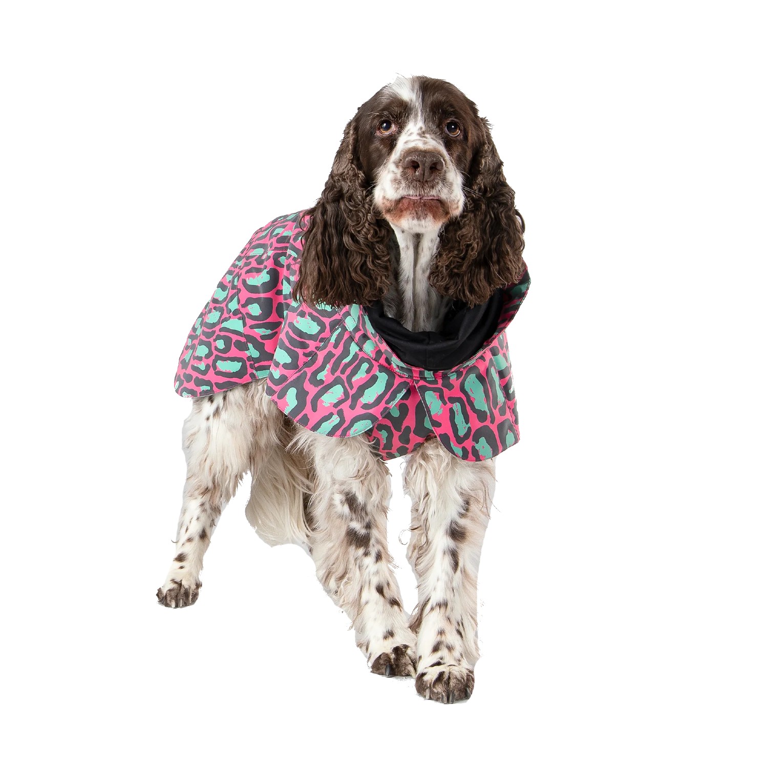 PAIKKA Visibility Winter Dog Jacket - Jungle