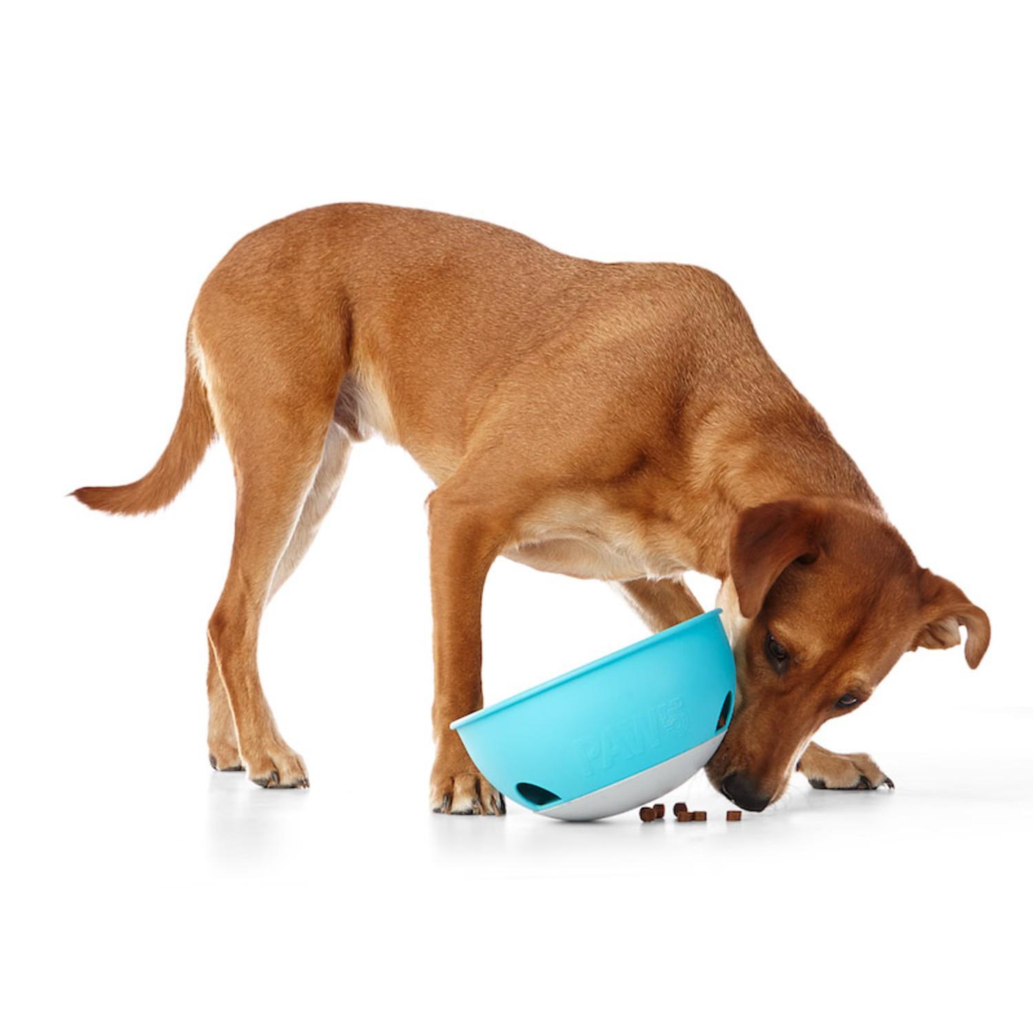 rock n bowl dog feeder