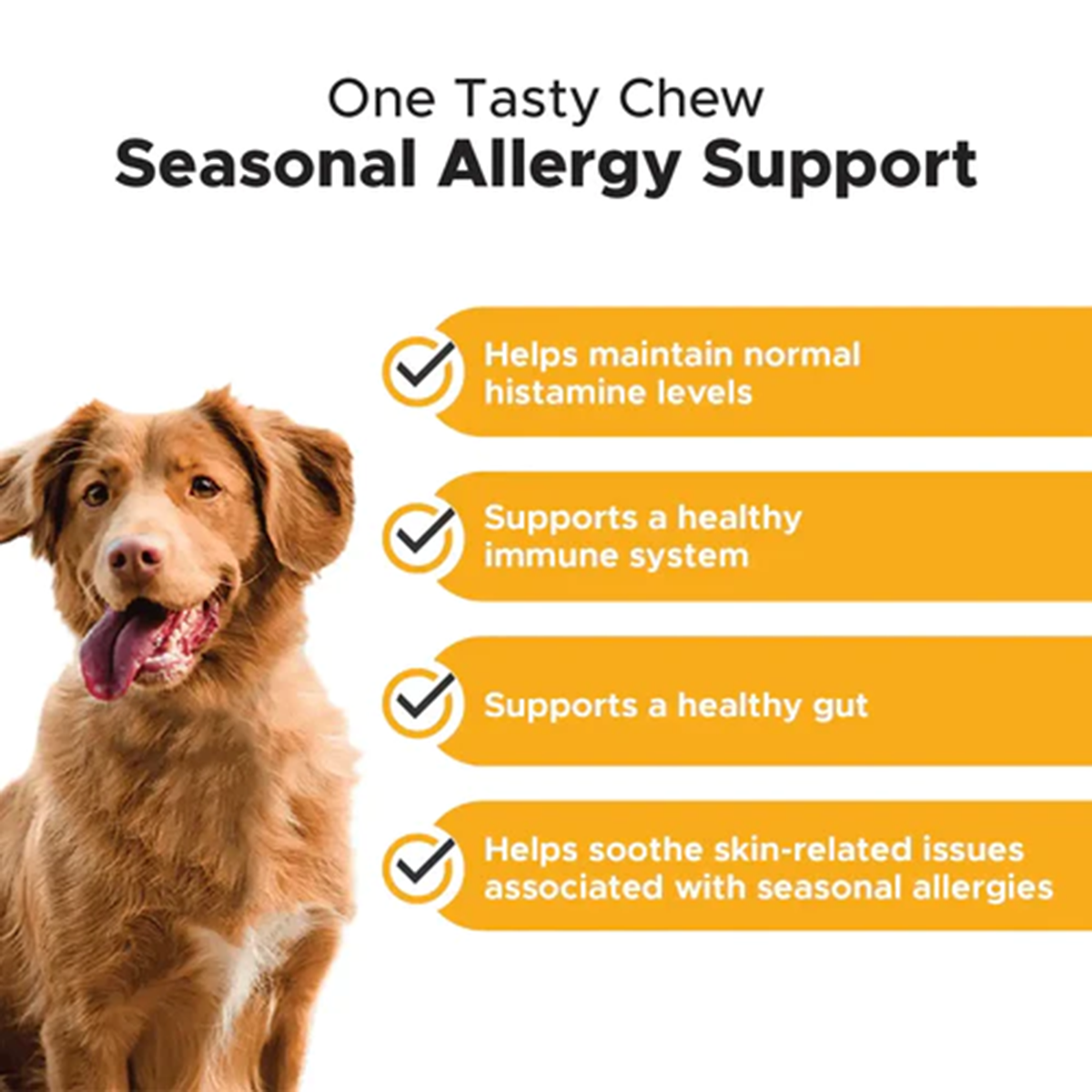 Pet Alive Allergy Itch Ease Oral Spray - Pet Orlando