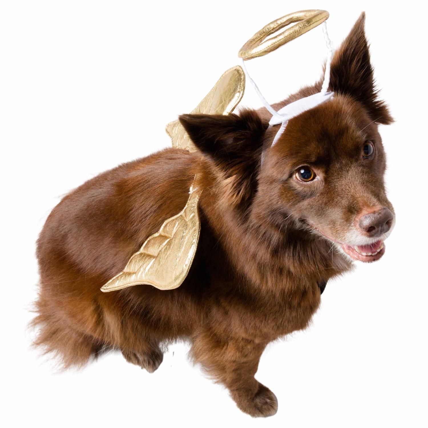 Pet Krewe Angel Dog Costume
