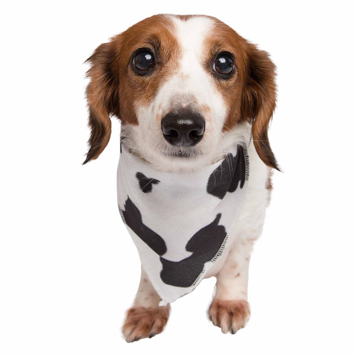 Pet Krewe Cow Spots Dog Bandana
