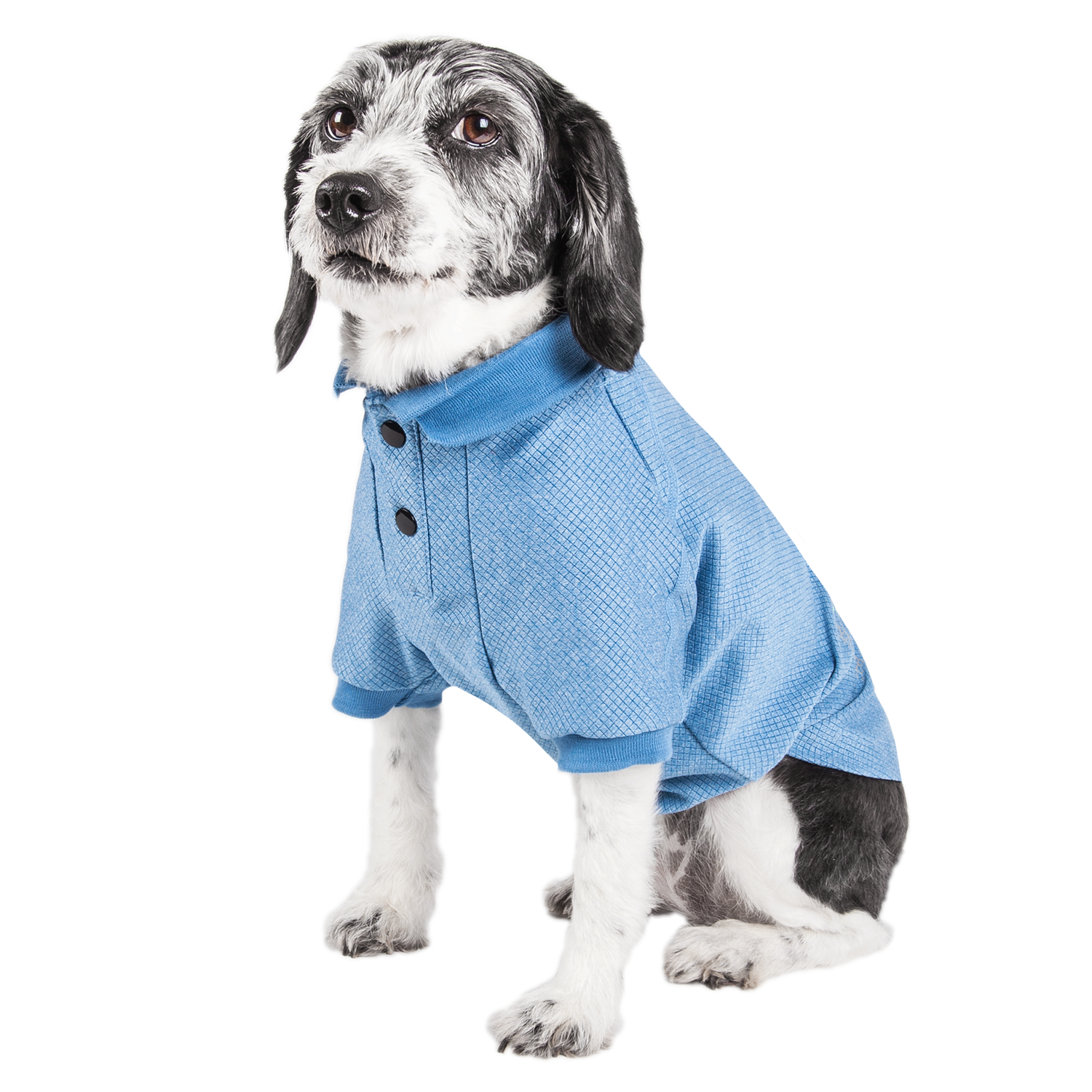 Pet Life ACTIVE Fur-Flexed Performance Dog Polo - Blue