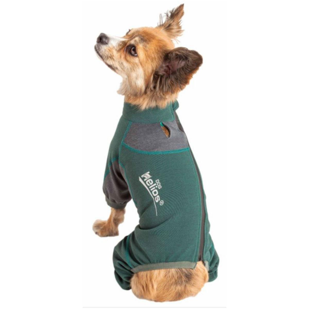 dog track suit green