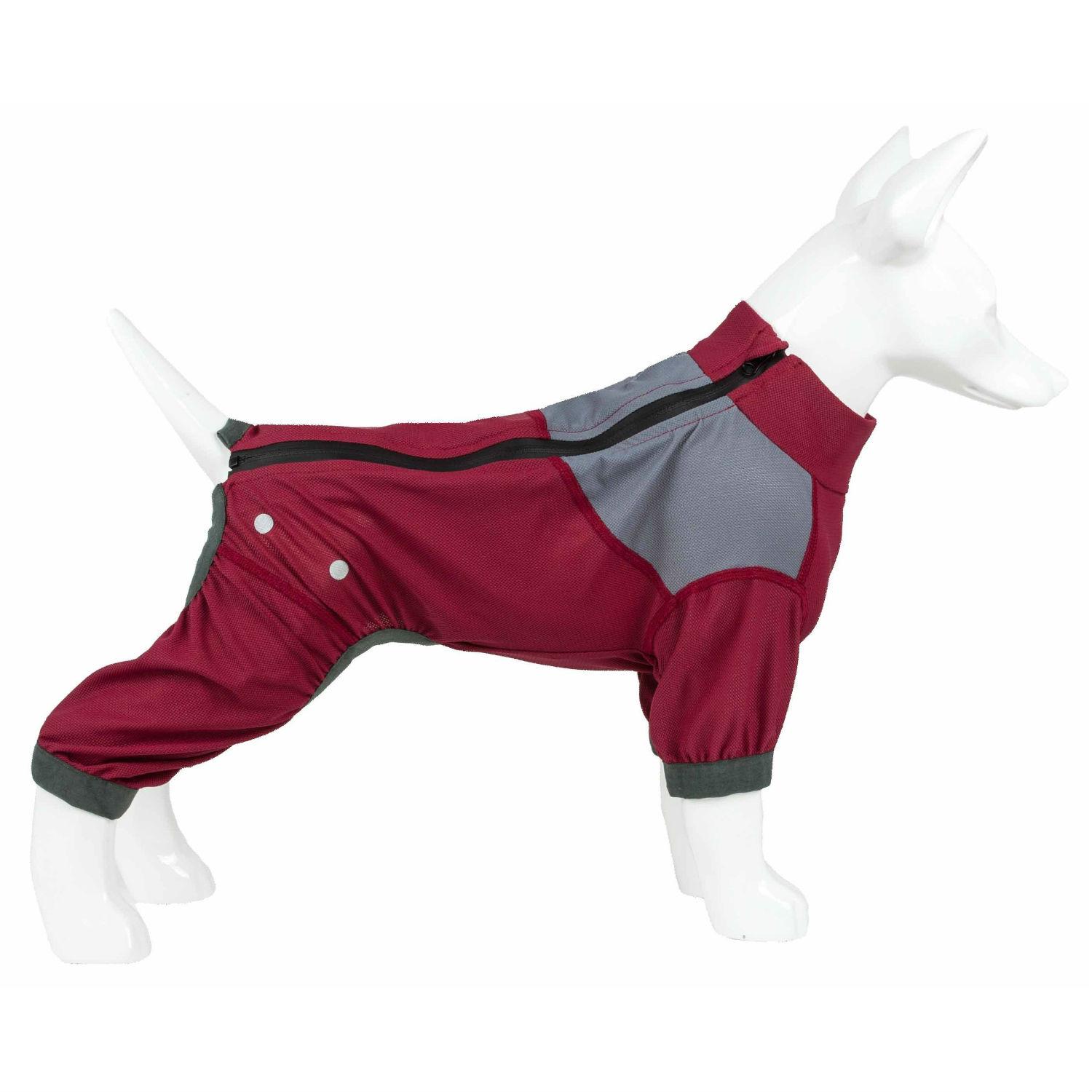 Pet Life Helios Tail Runner Lightweight Dog T... | BaxterBoo