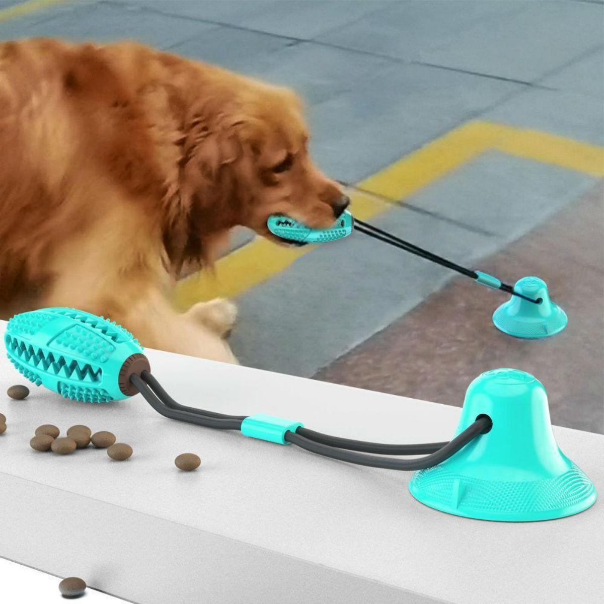 Treat Dispensing Dog Toy