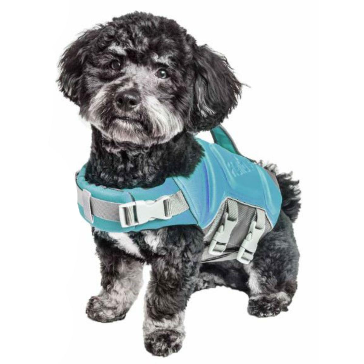 aqua dog life jacket