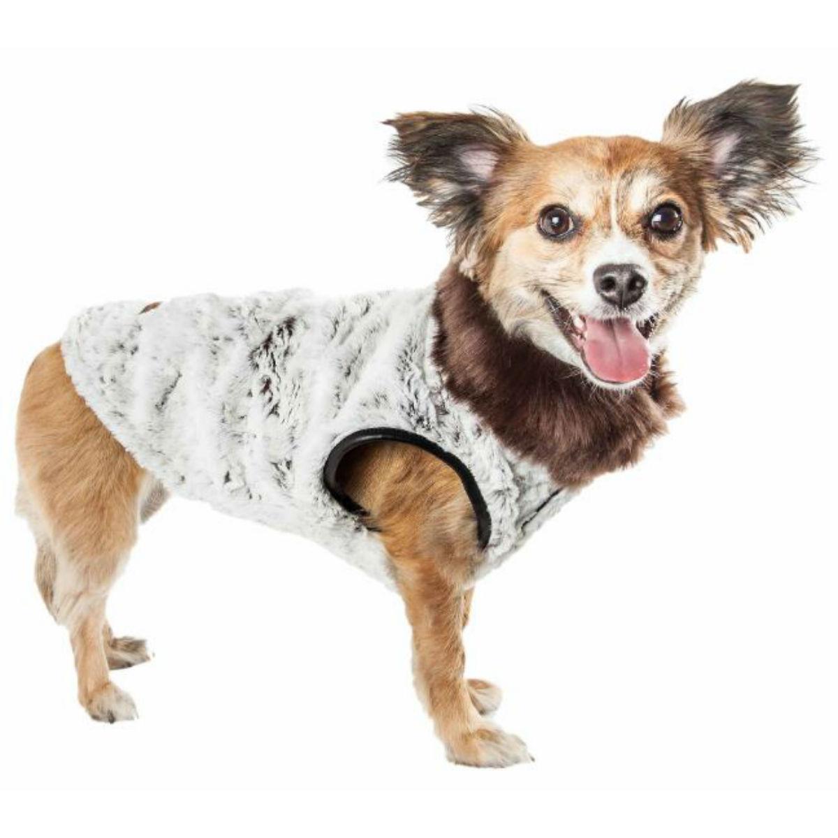 Protect Me Alert Series MLB Blue Jays Dog Jacket, Small : Pet  Supplies