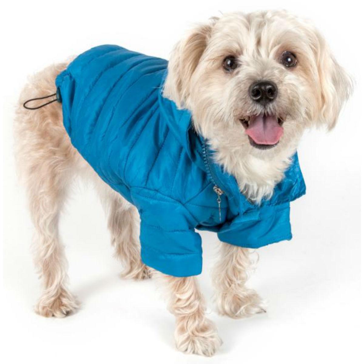 Pet Life Sporty Avalanche Dog Coat - Blue | BaxterBoo