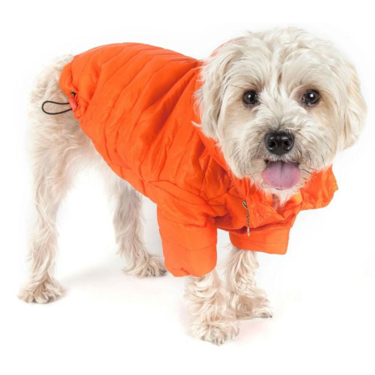 Pet Life Sporty Avalanche Dog Coat - Orange | BaxterBoo
