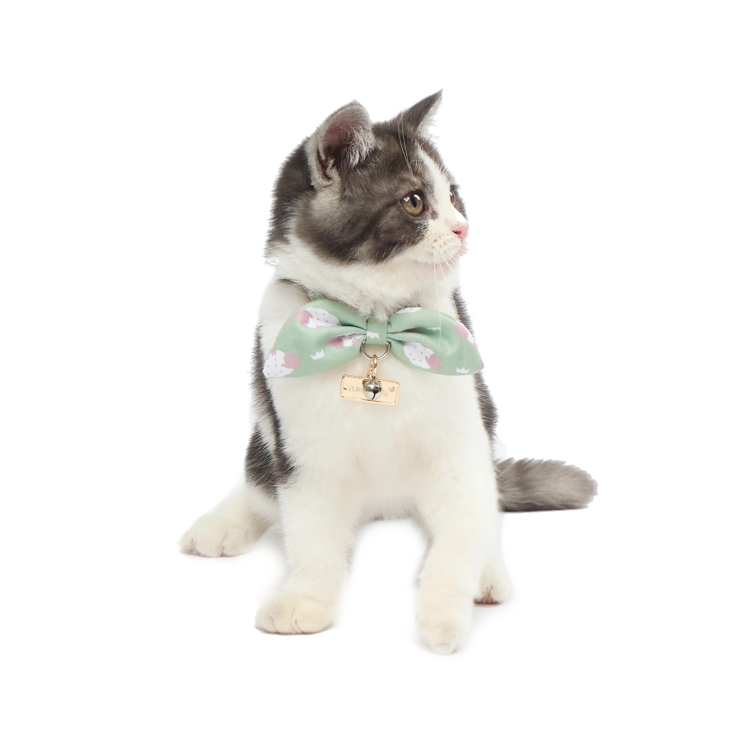 Pet Life Touchcat Shepherd Designer Cat Collar - Green