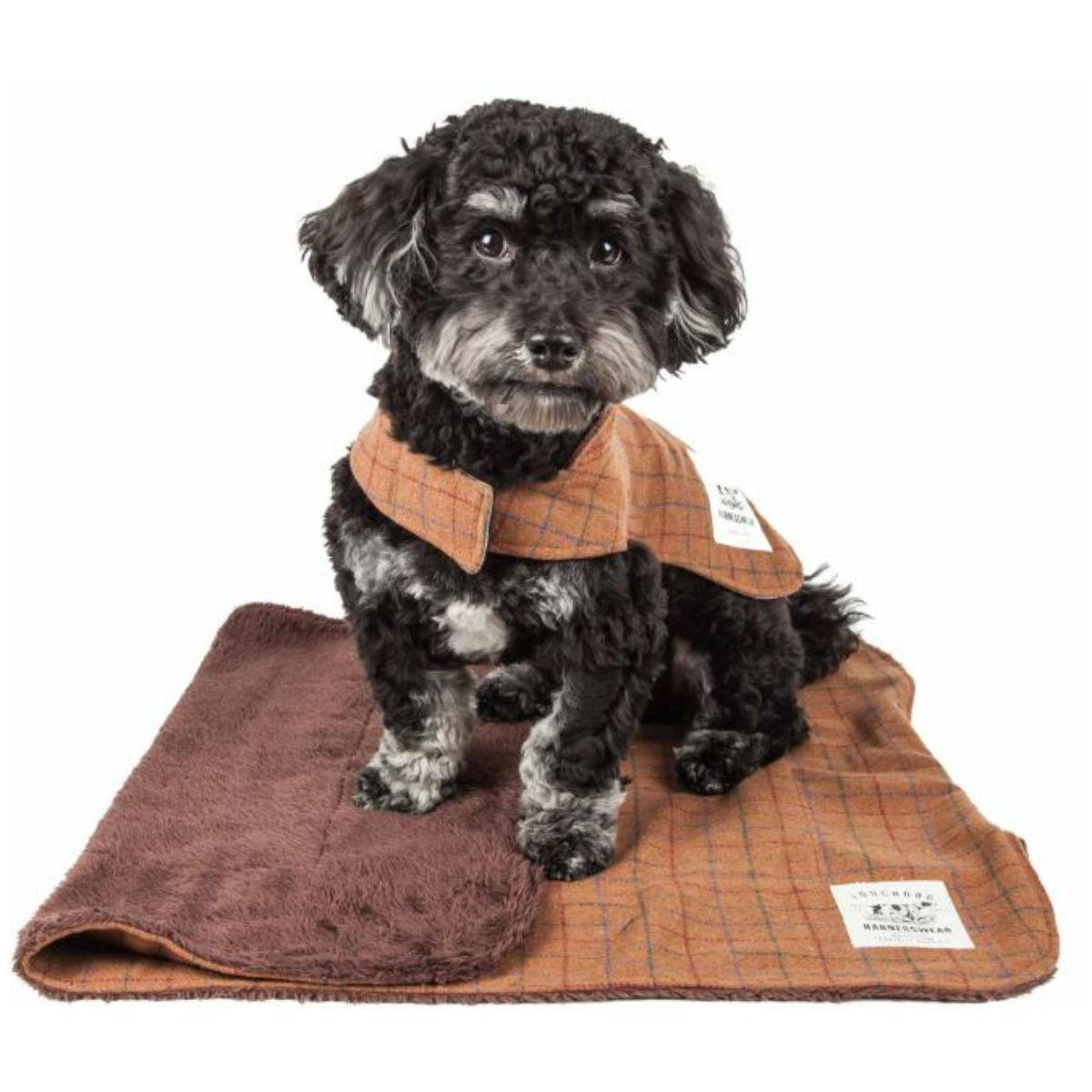 Pet Life Touchdog 2-in-1 Windowpane Plaid Dog Jacket with Matching Reversible Dog Mat - Brown