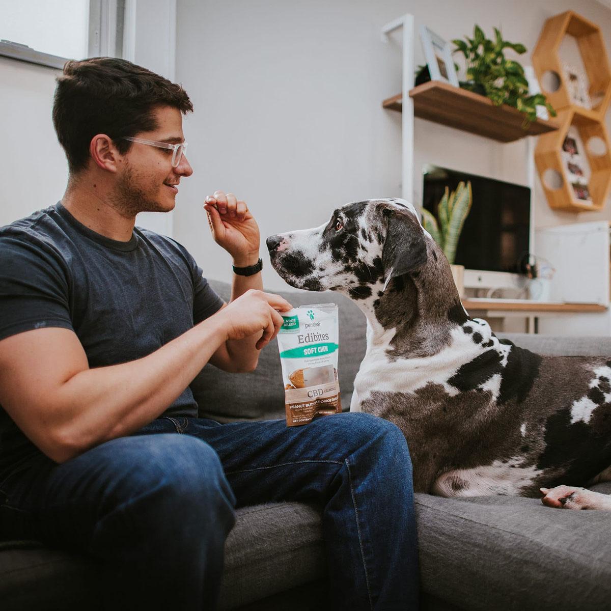 Pet Releaf Hemp Oil Edibites Dog Treats - Peanut Butter & Carob Swirl for Calming