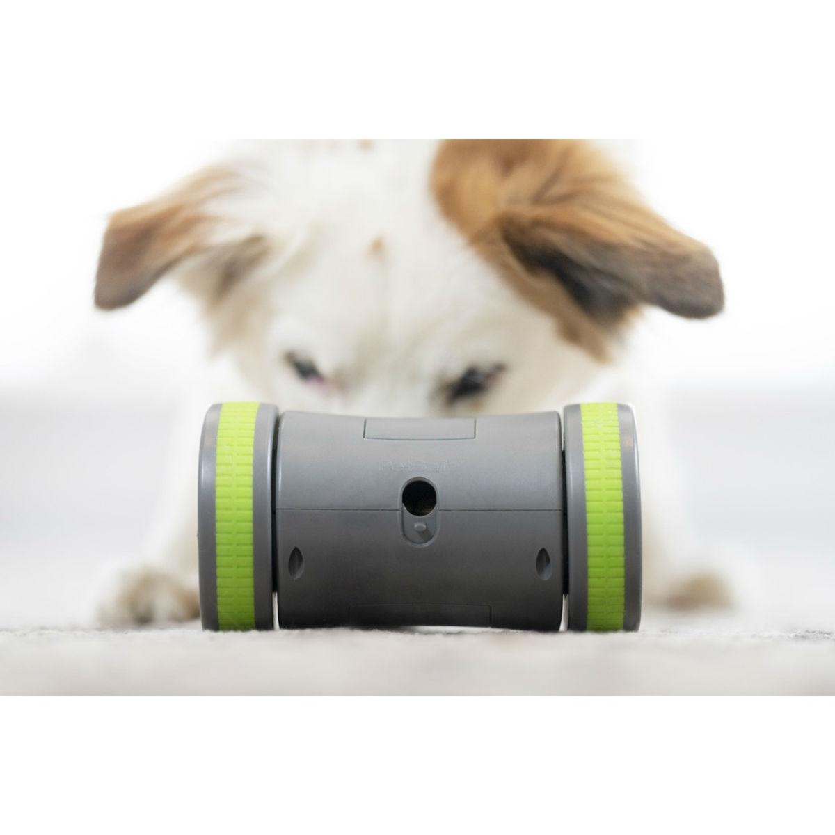 petsafe laser chase