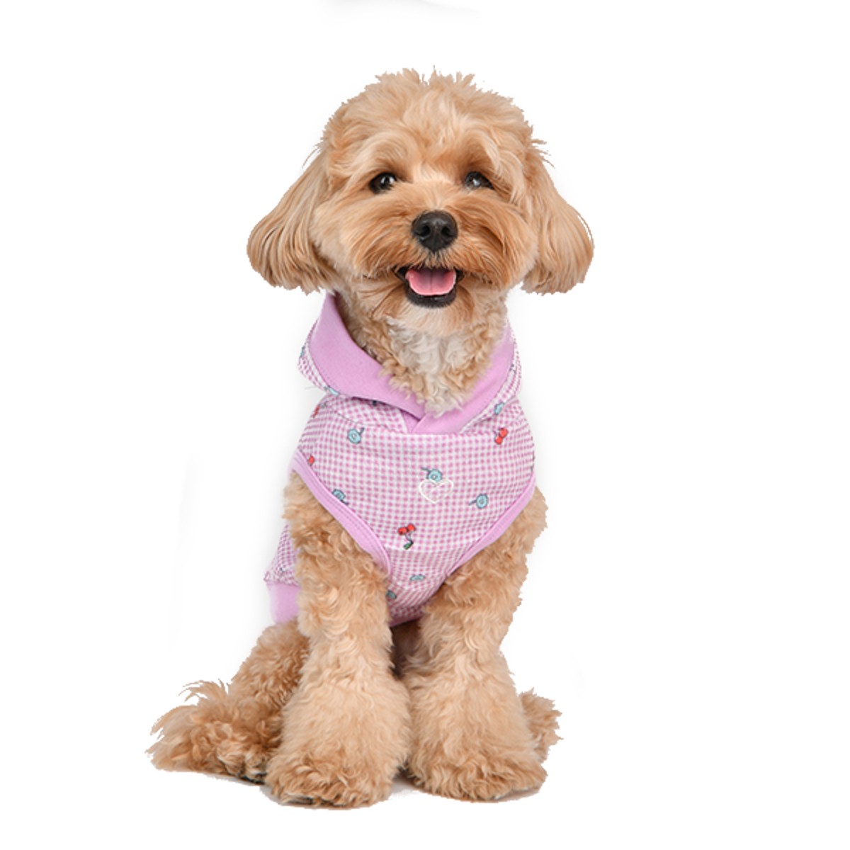 Pinkaholic hot sale dog clothes