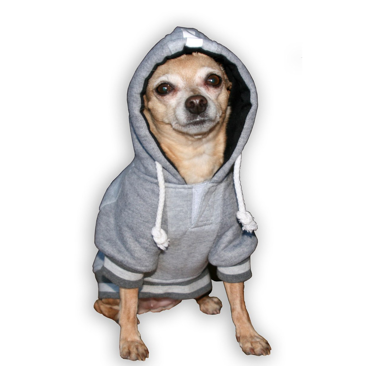 steelers dog hoodie