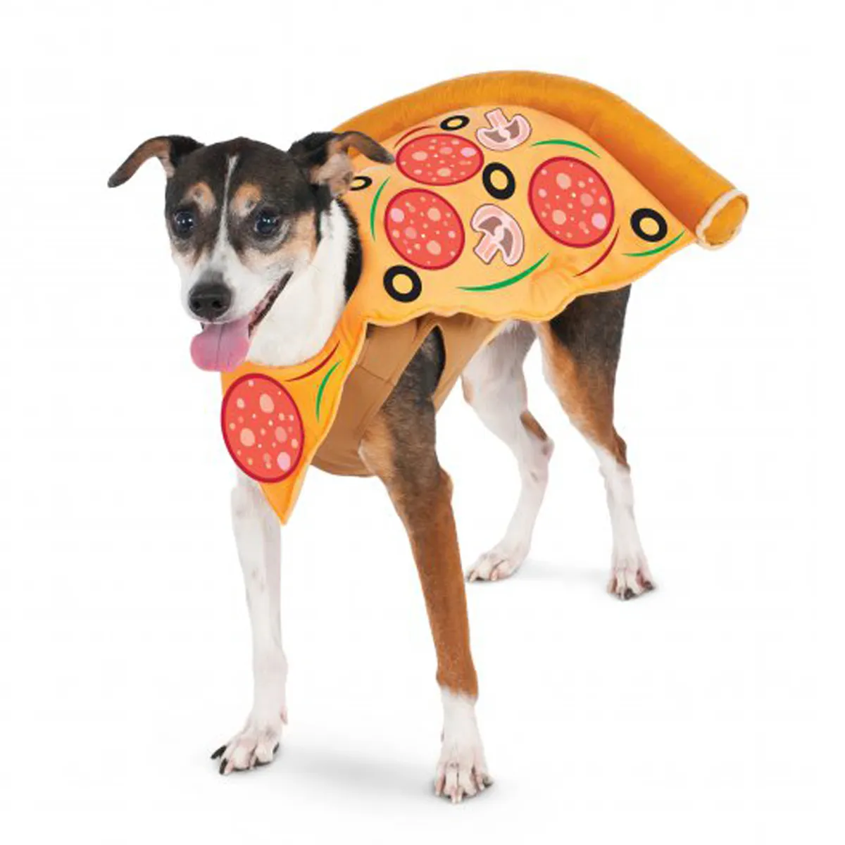 Pizza Slice Pet Costume