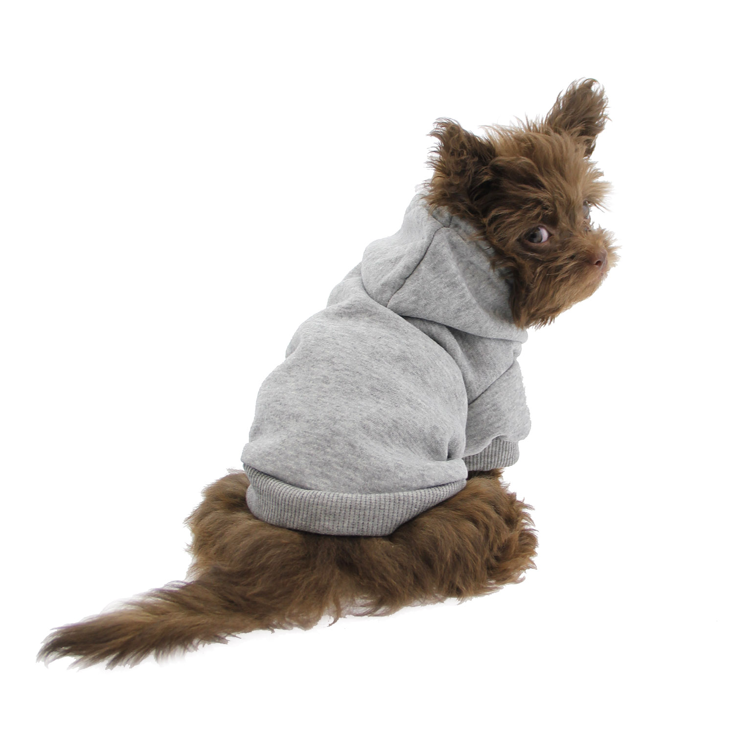 plain dog hoodies