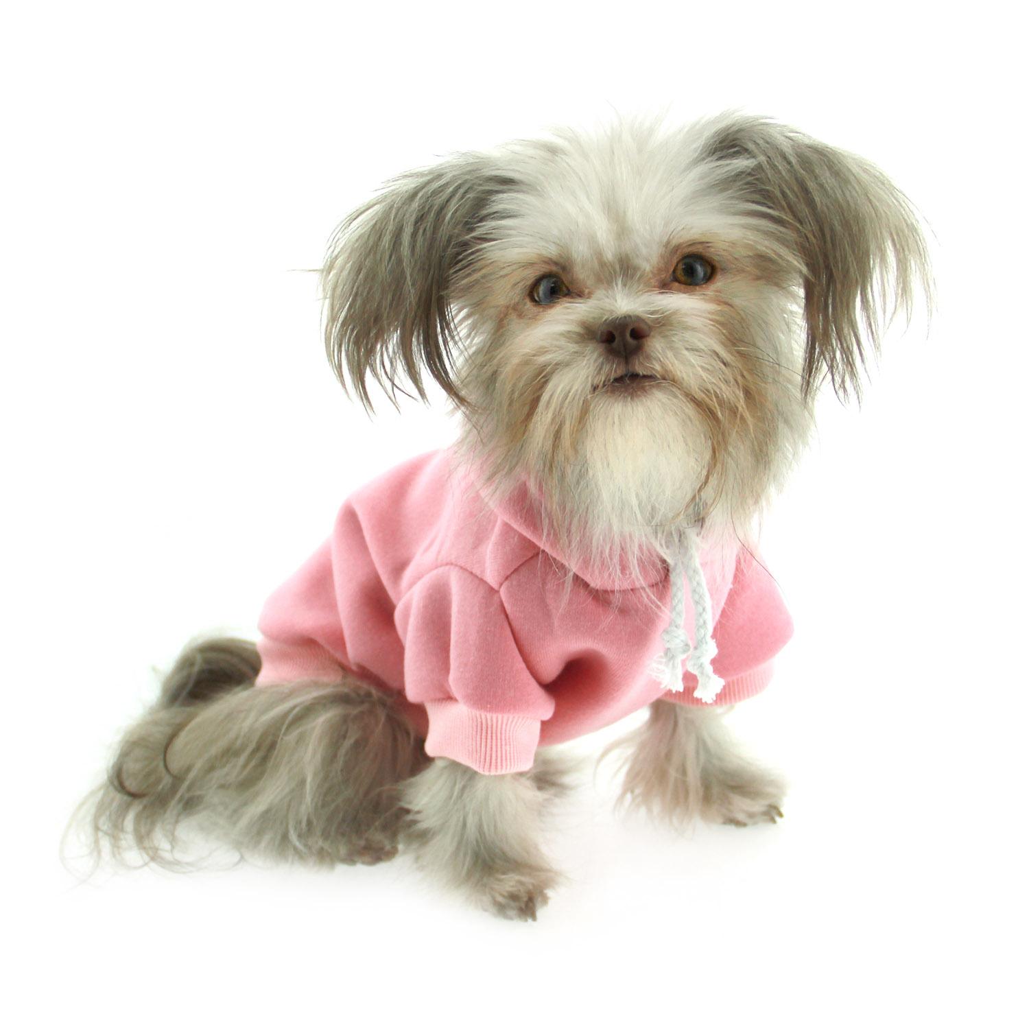 Plain Dog Hoodie - Pink with Same Day Shipping | BaxterBoo