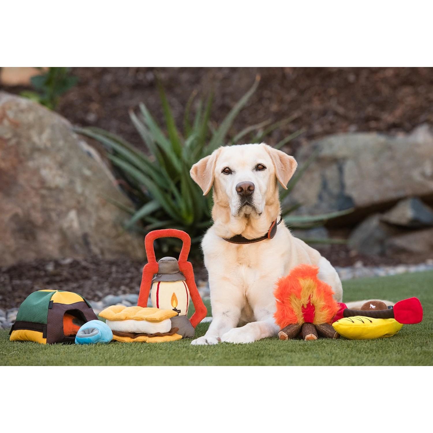 Kong Ballistic Hide n Treat - Four Your Paws Only