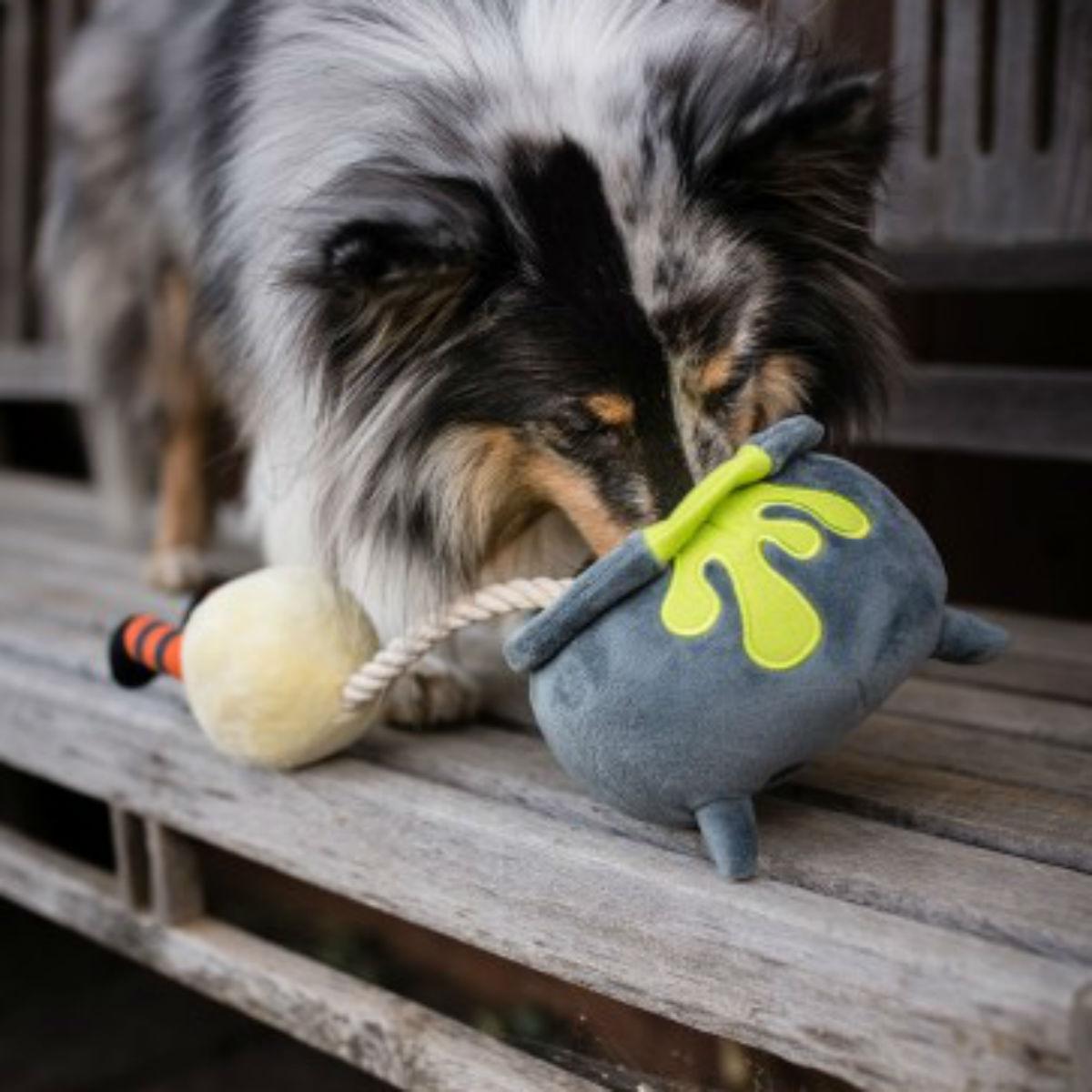 https://images.baxterboo.com/global/images/products/large/play-howling-haunts-dog-toy-doggy-dagger-6164.jpg