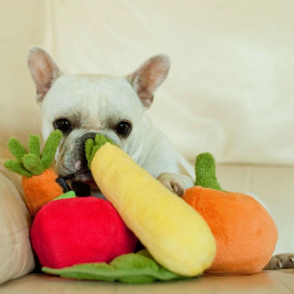 https://images.baxterboo.com/global/images/products/large/plays-garden-fresh-dog-toy-collection-7723.jpg