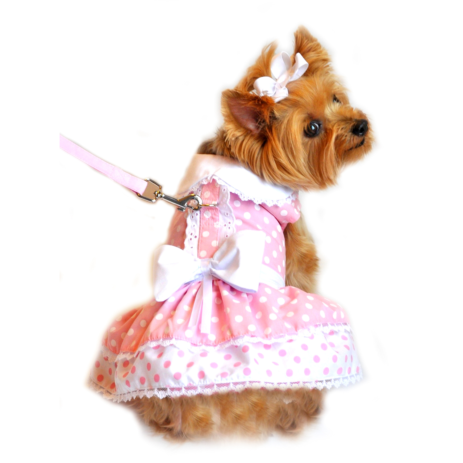 NACOCO Small Dog Star Dress with Leash Small Pet Puppy Cute Lace Skirt Sweet Pet Summer Clothes 
