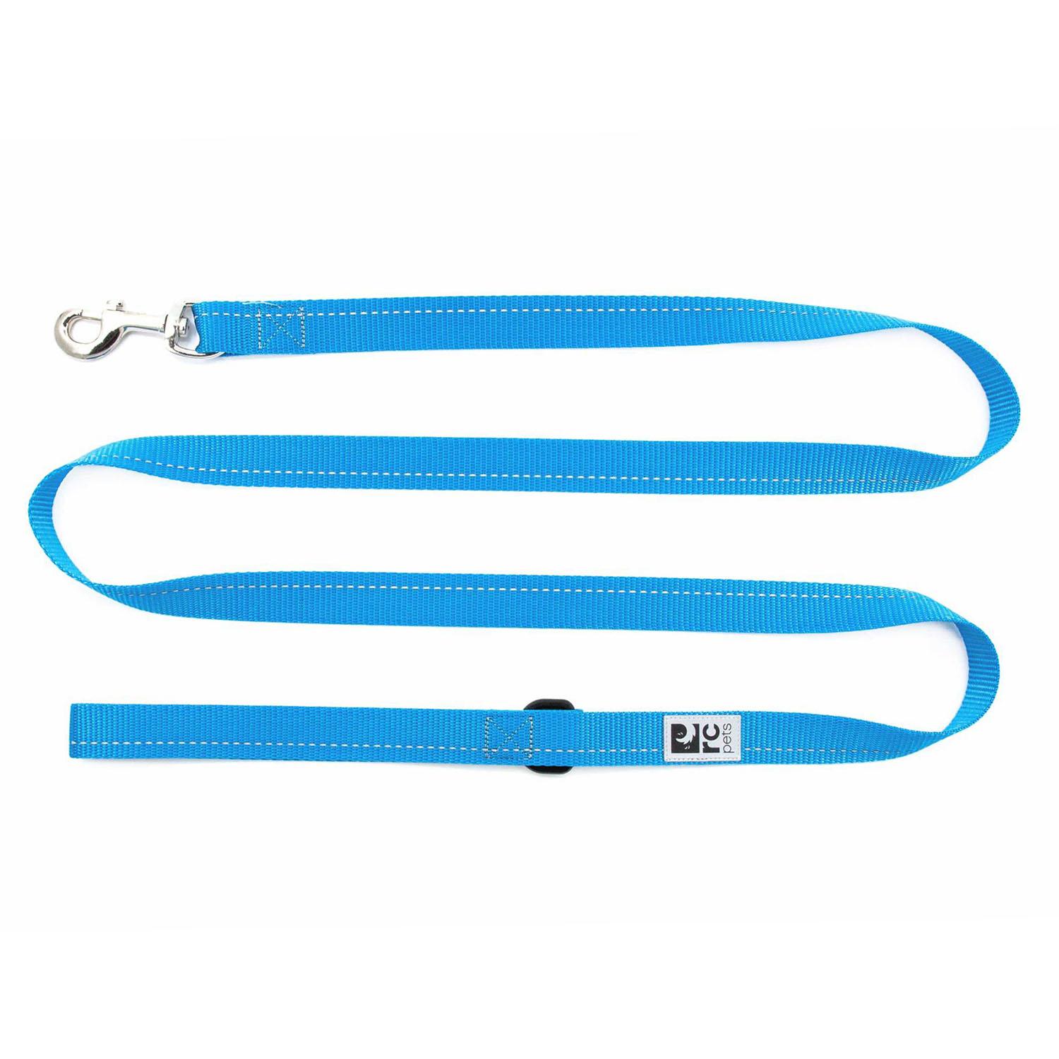 Primary Dog Leash - Cyan with Same Day Shipping | BaxterBoo