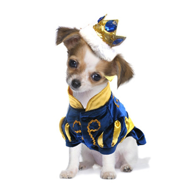 Puppe Love Prince Charming Dog Costume