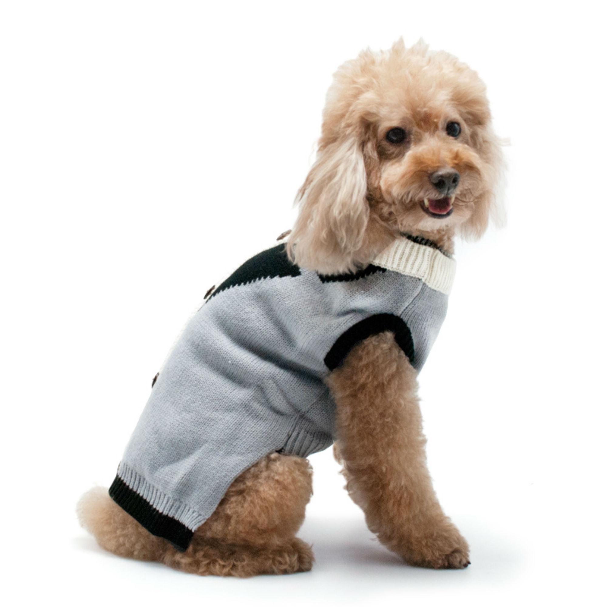 Professor Cardigan Dog Sweater by Dogo - Gray | BaxterBoo