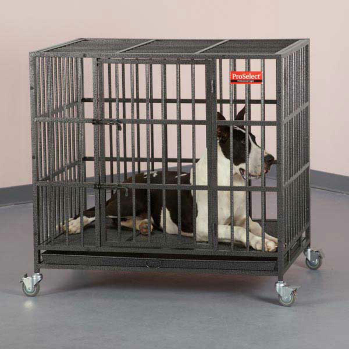 guardian gear proselect empire dog cage