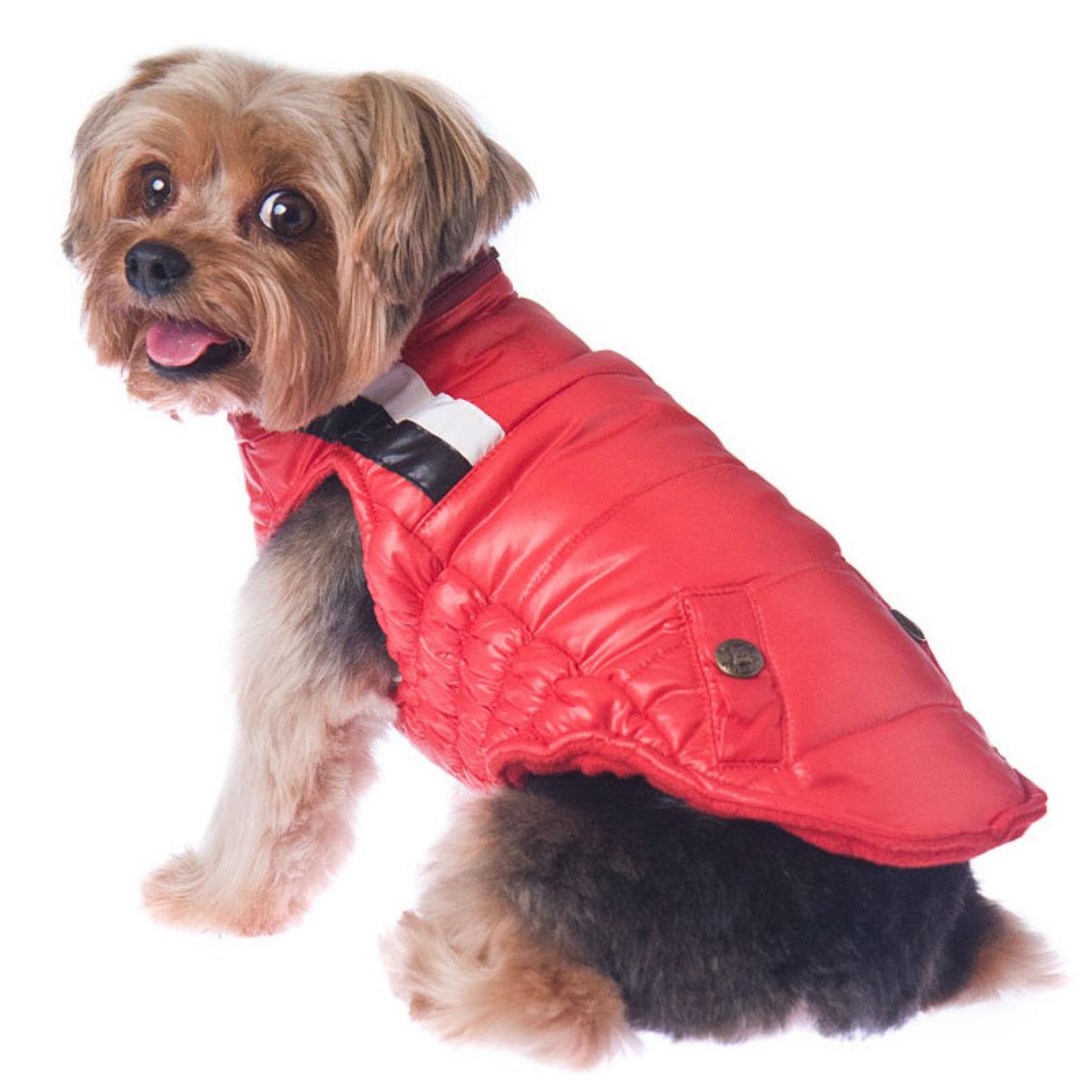 RuffLuv NYC The Puffer Ski Dog Vest - Red | BaxterBoo