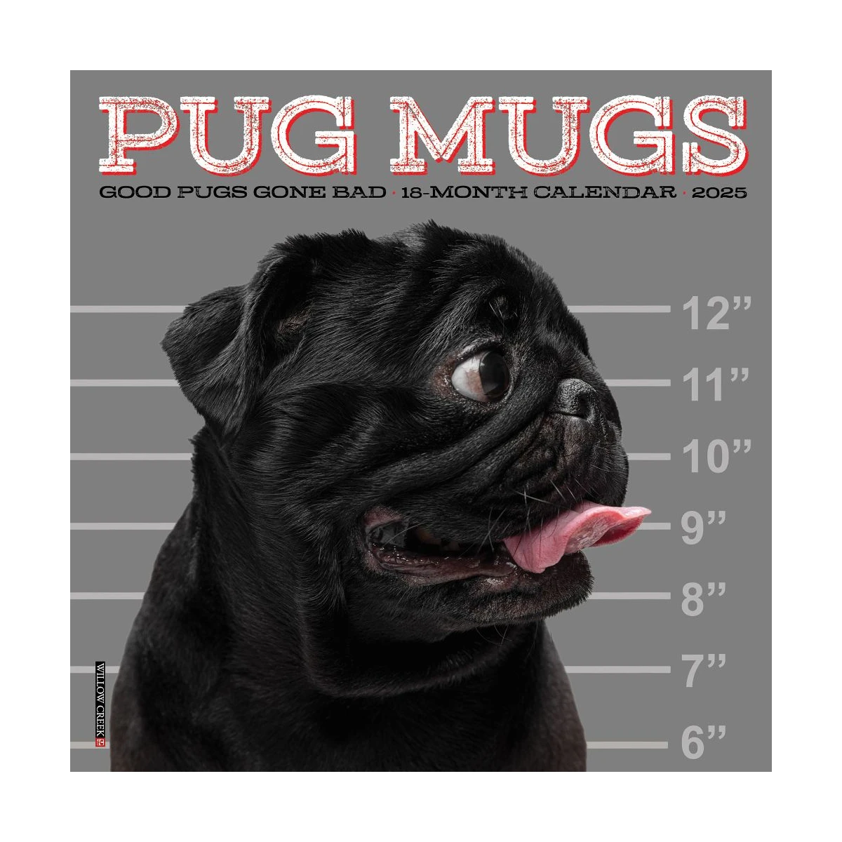 Pug Mugs 2025 Mini Wall Calendar