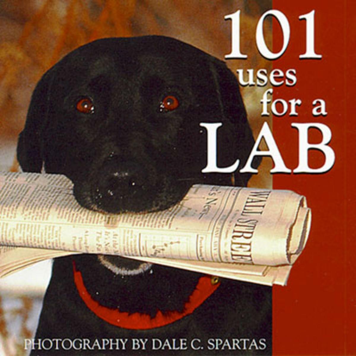 101 Uses for a Lab Book for Humans