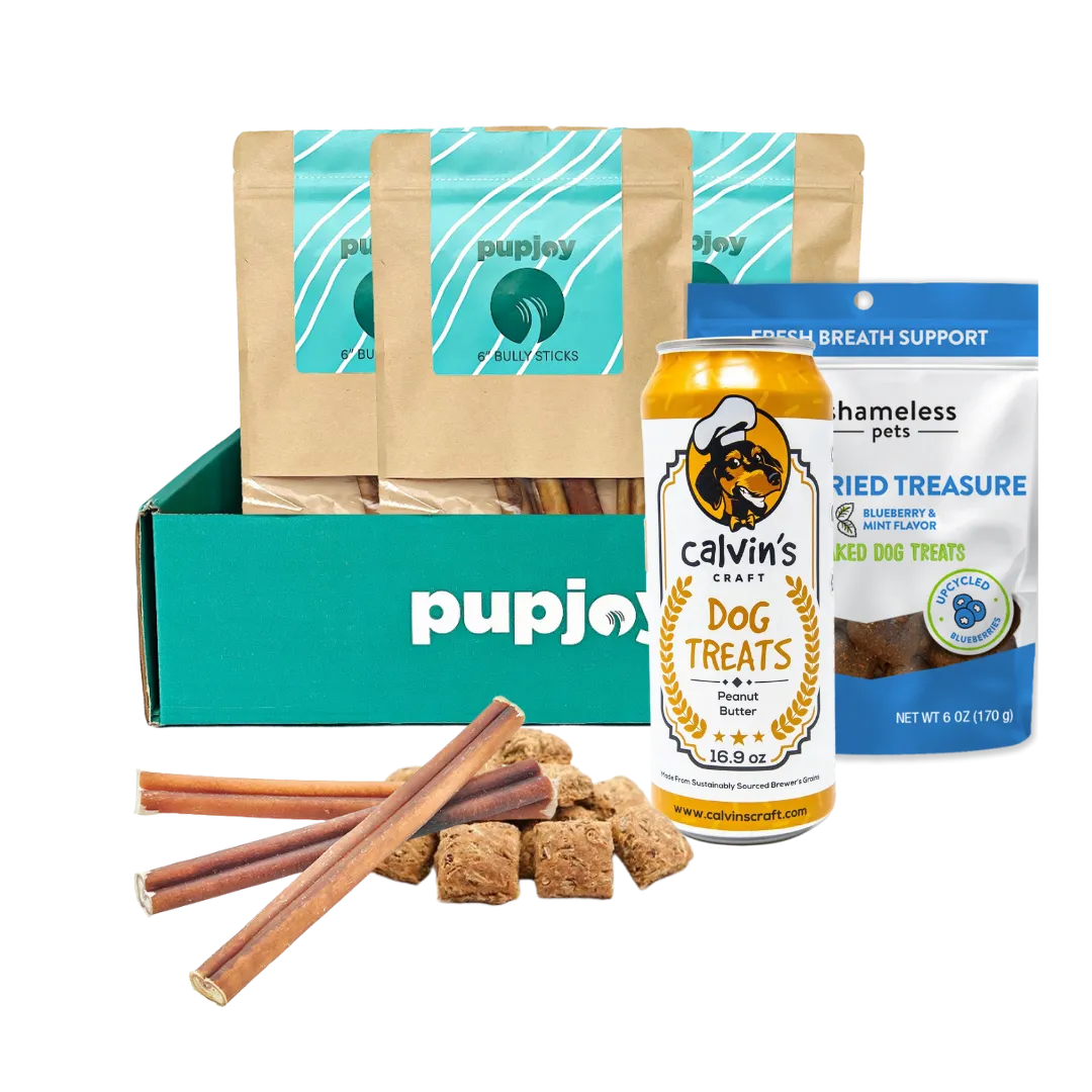 PupJoy Dog Treat Box - Bully