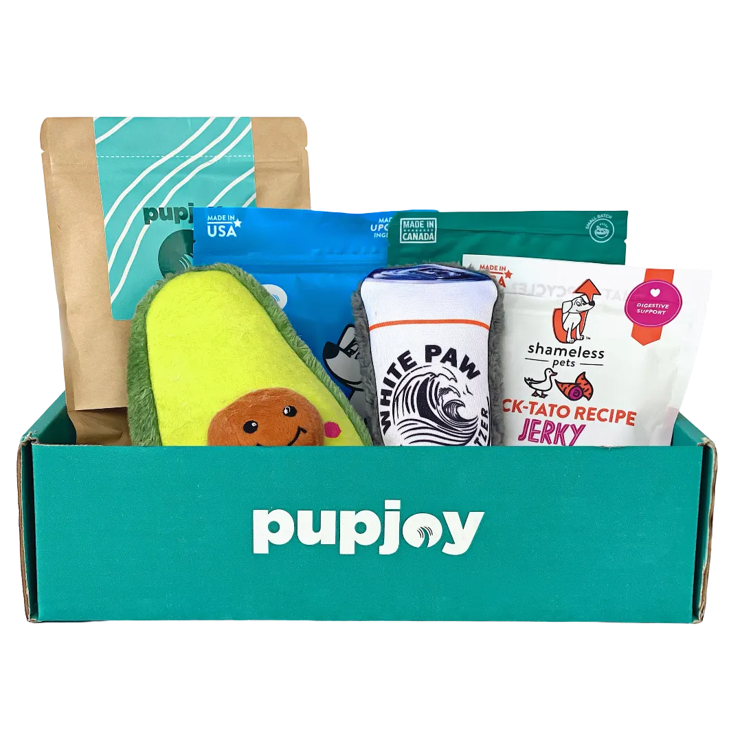 PupJoy Dog Toy and Treat Box - Variety