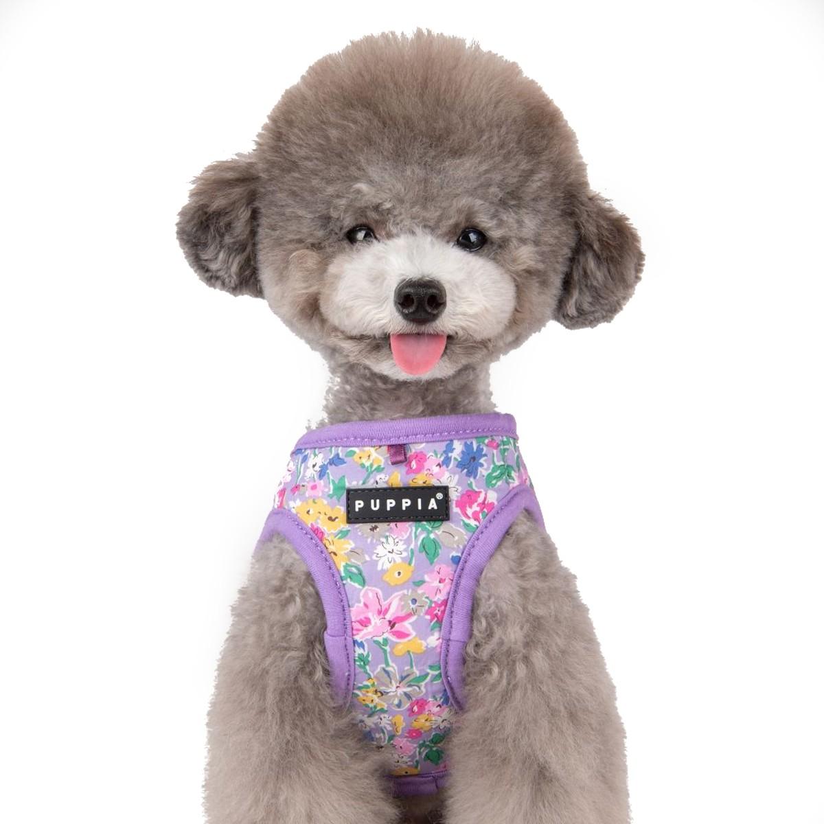 Puppia Lita Little Floral Adjustable Dog Harn... | BaxterBoo