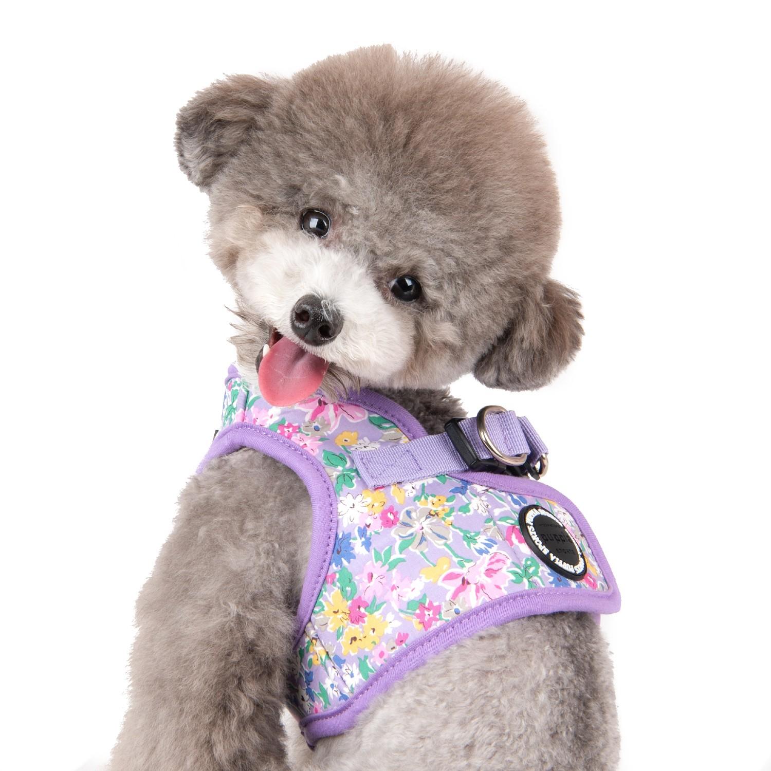 puppia floral harness