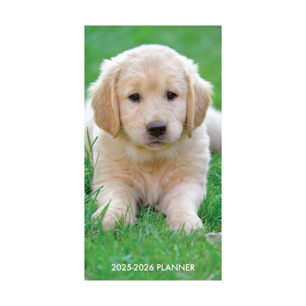 Puppy Love Two-Year Monthly Planner