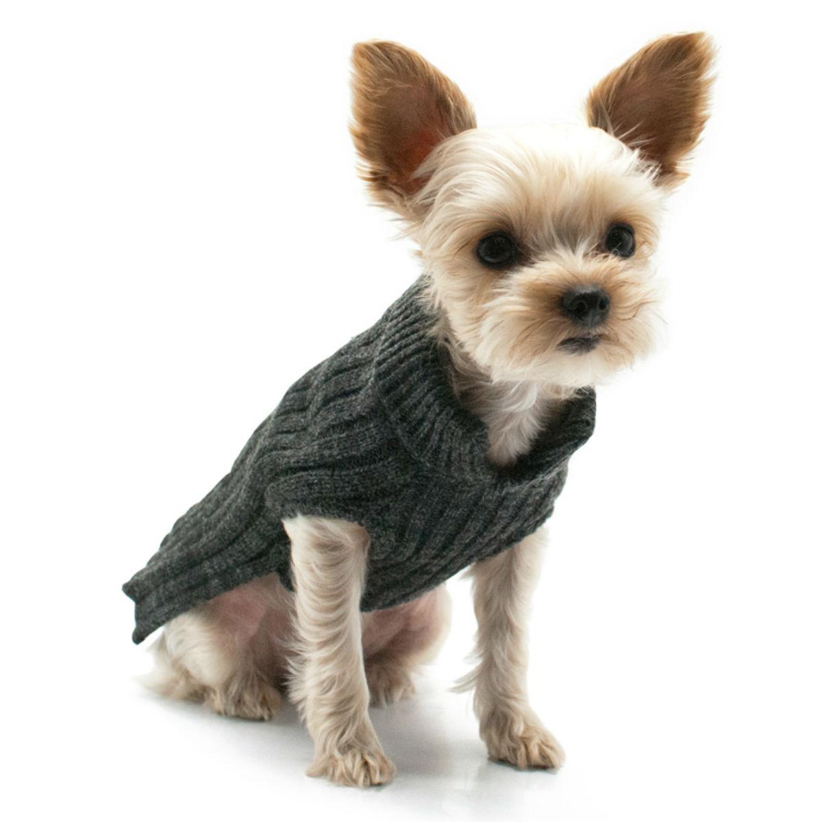 PuppyPAWer Basic Turtleneck Dog Sweater - Cha... | BaxterBoo