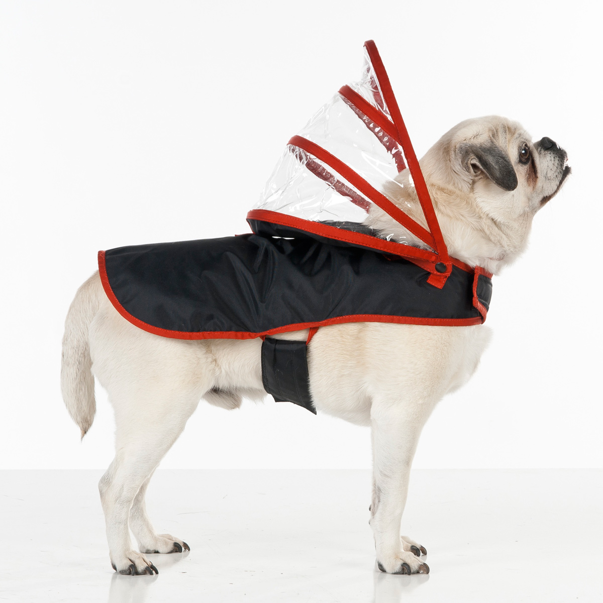 Push Pushi Rainbow Line Dog Raincoat - Black with Red Trim