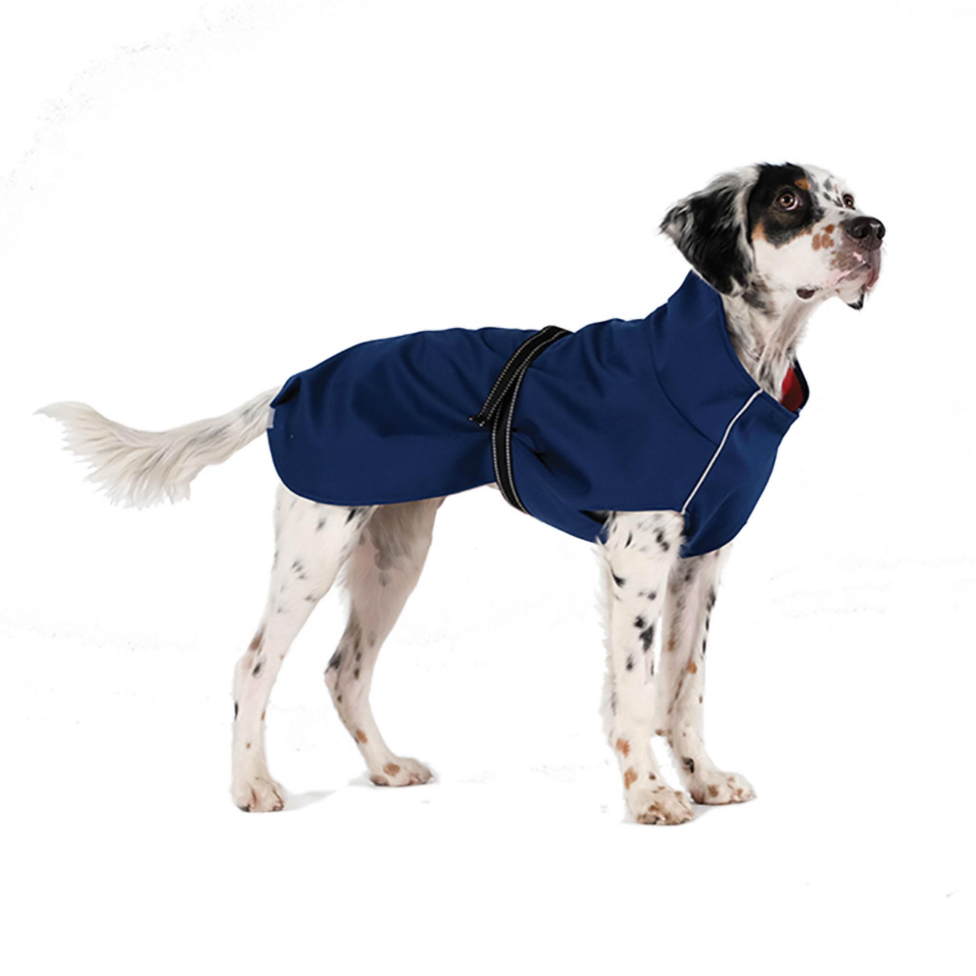 Gold Paw Rain Paw Dog Raincoat - Navy | BaxterBoo