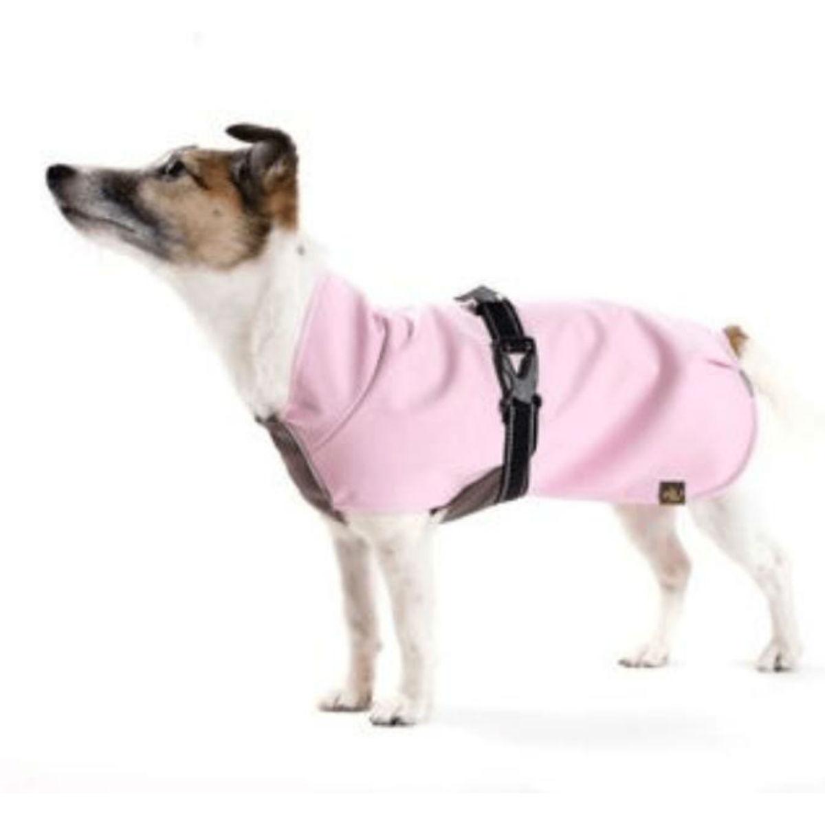 Gold Paw Rain Paw Dog Raincoat - Pink/Graphite