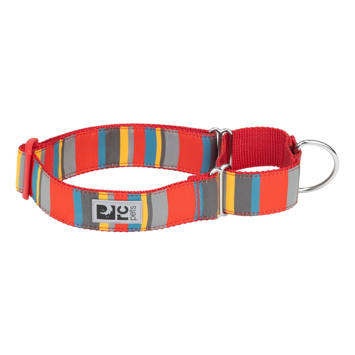 RC Pet All Webbing Martingale Dog Training Collar - Multi Stripes