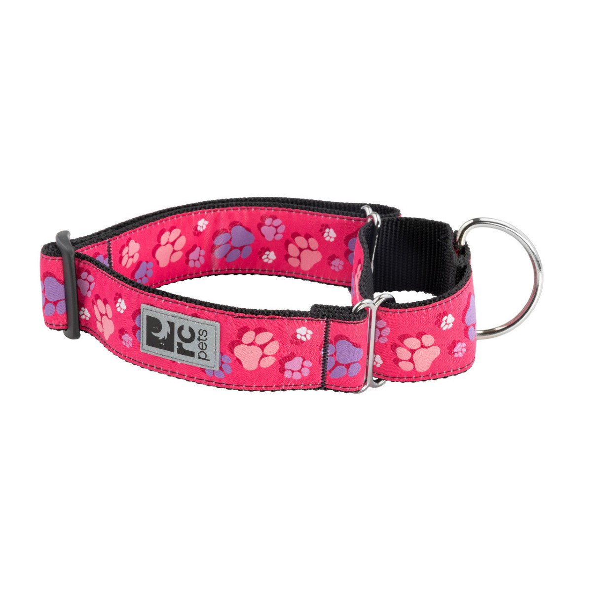 RC Pet All Webbing Martingale Dog Training Collar - Fresh Tracks Pink