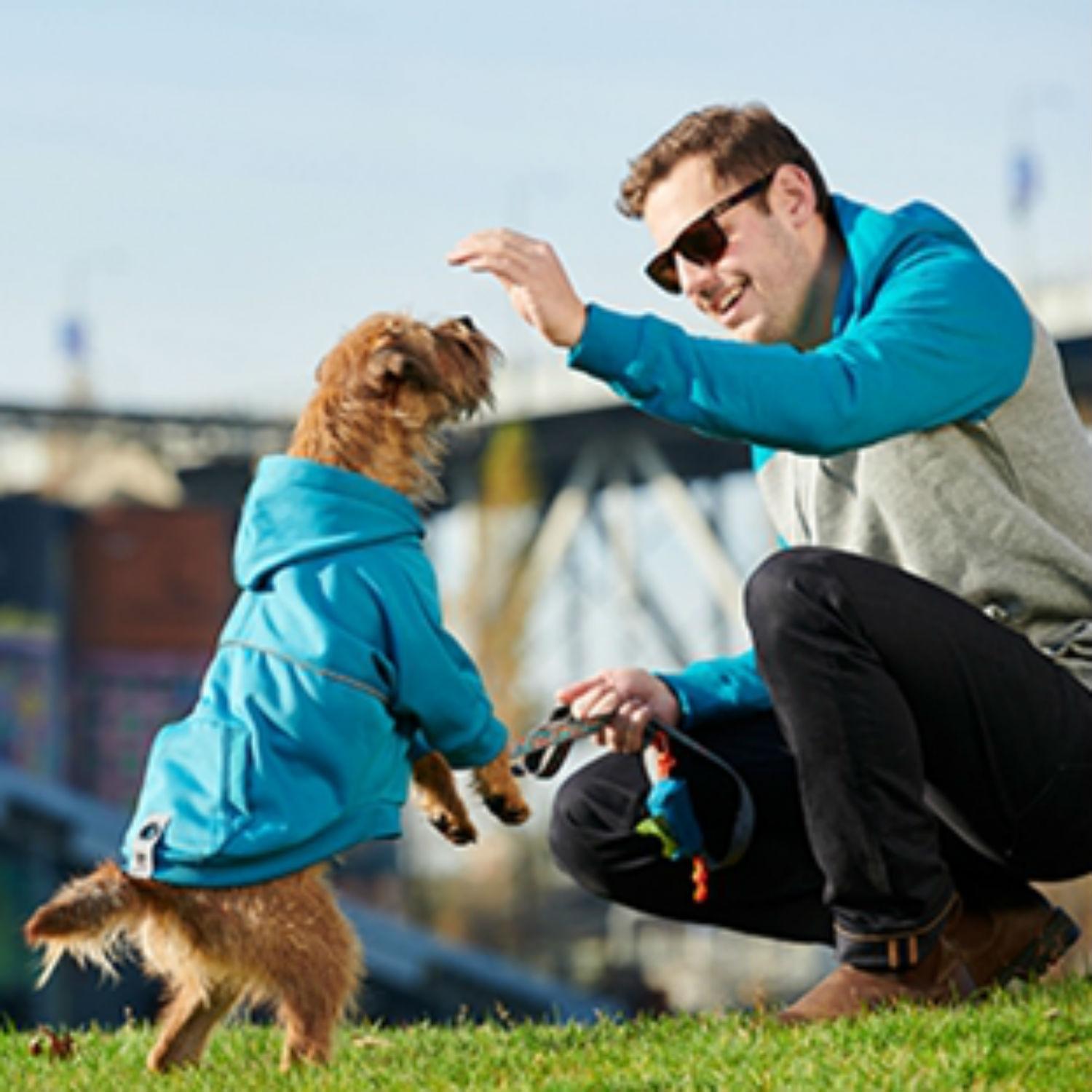 Cute top dog hoodies