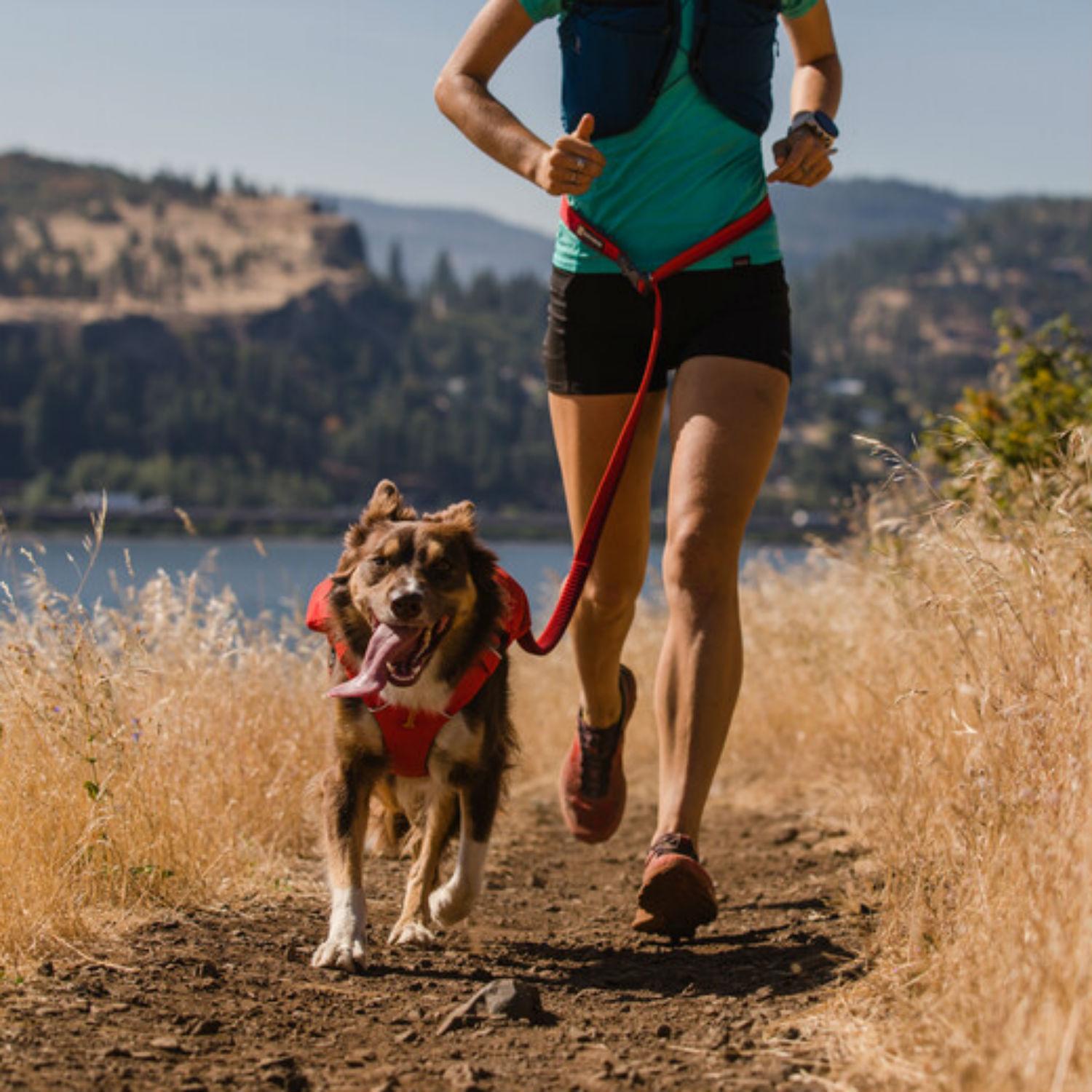 ruff wear running leash