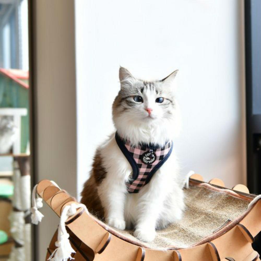 Robin Basic Style Cat Harness by Catspia Pi BaxterBoo